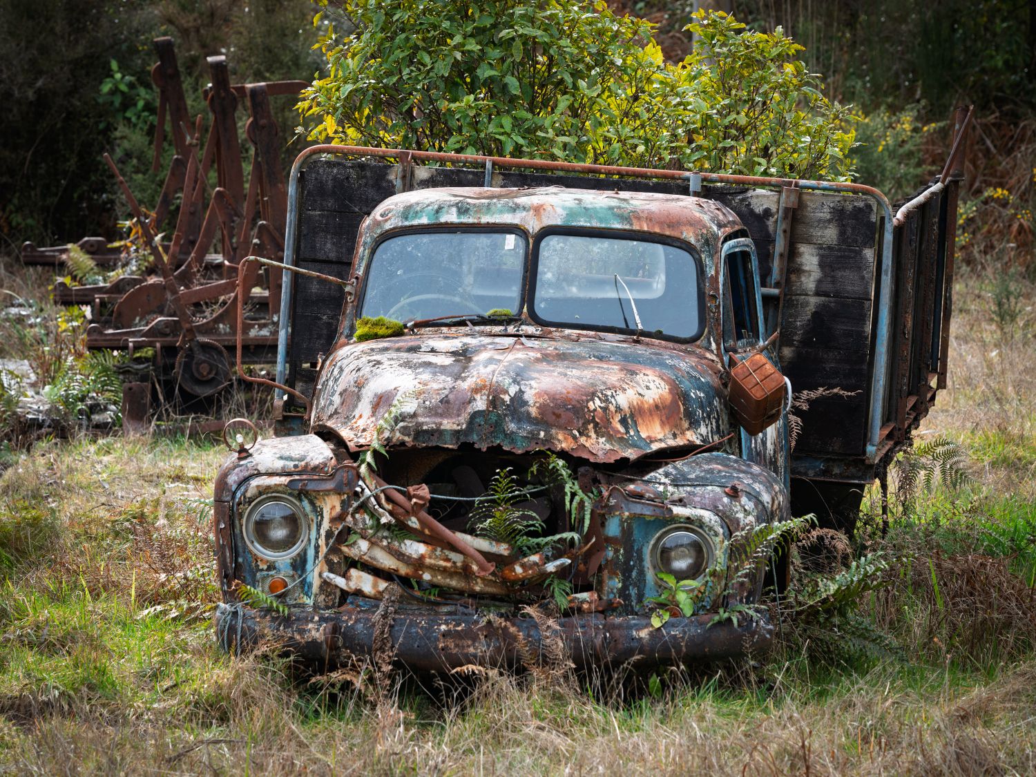 My Next Car