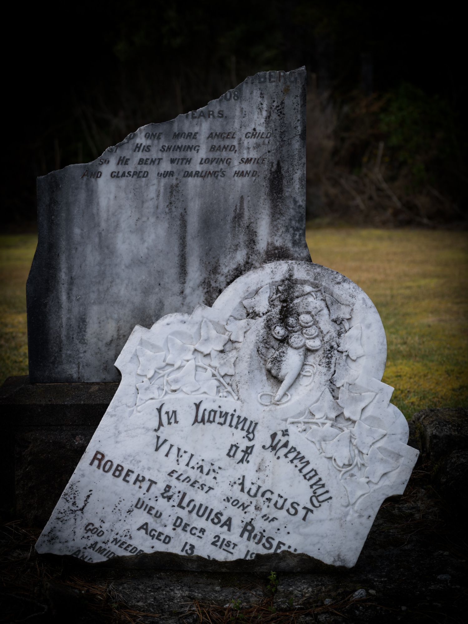 Early Settler Grave