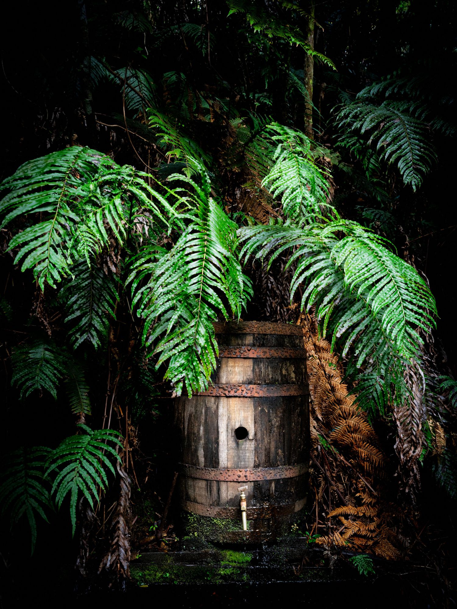 The Barrel