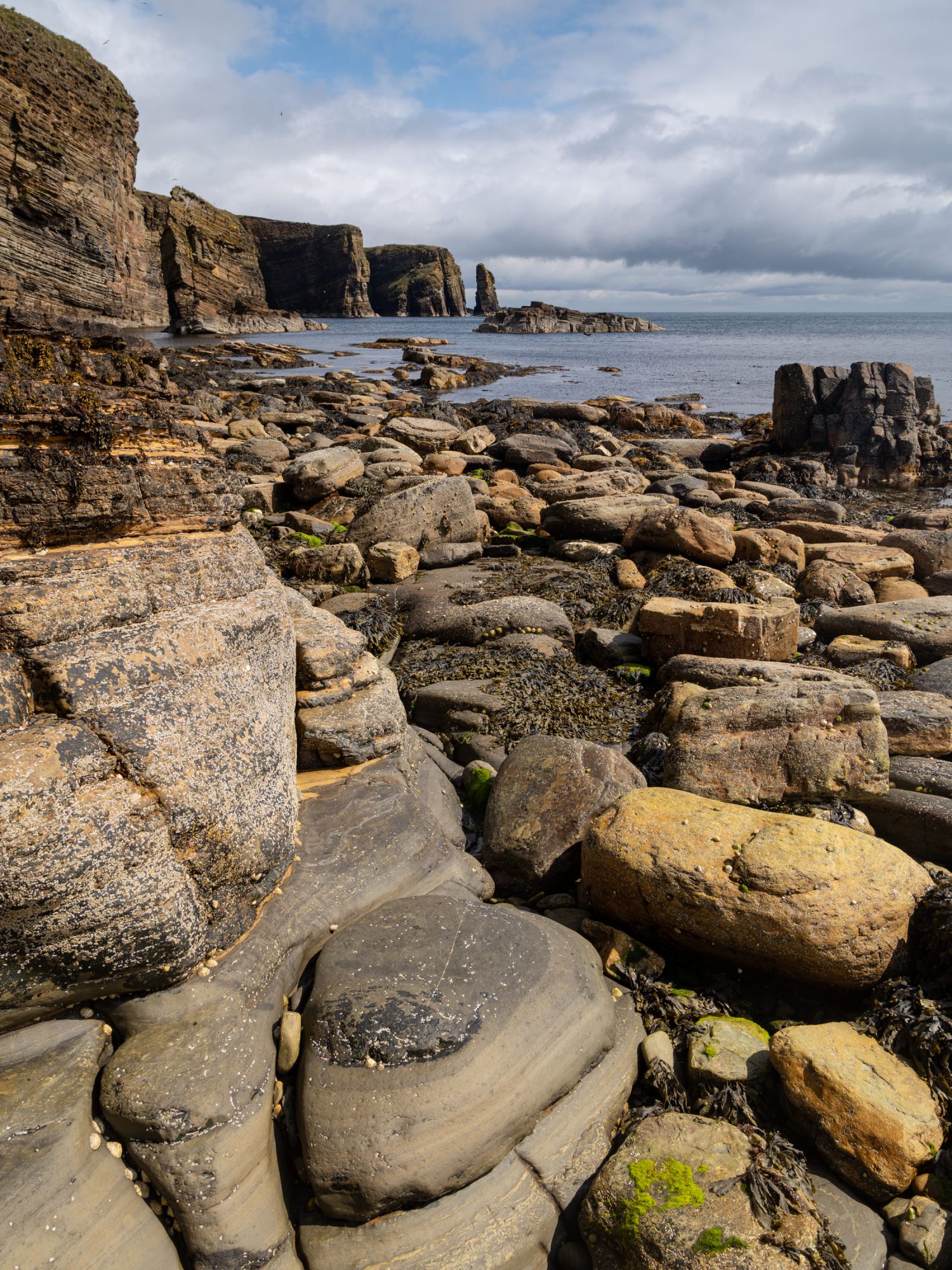 Low Tide