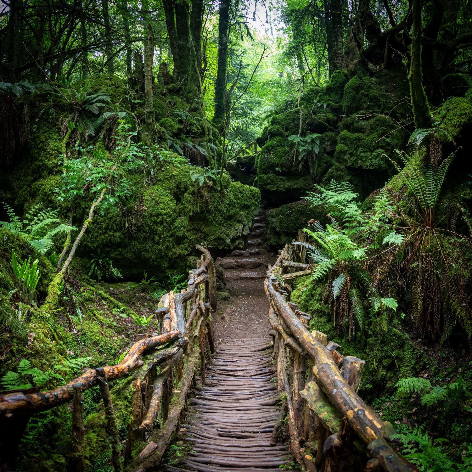 Puzzlewood 10