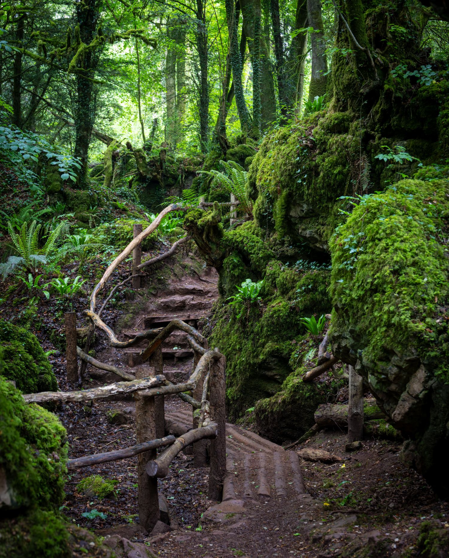 Puzzlewood 11