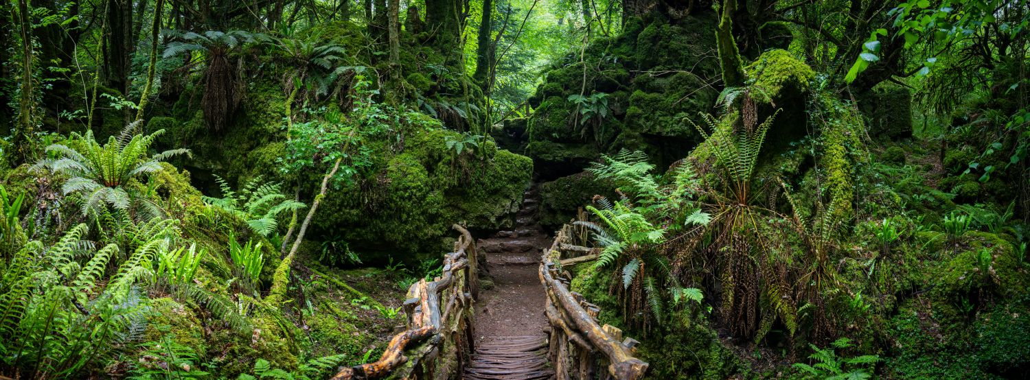 Puzzlewood 9