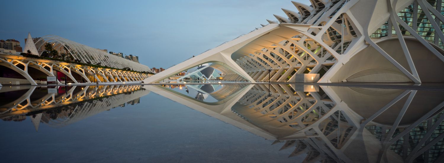 Panoramic Reflection