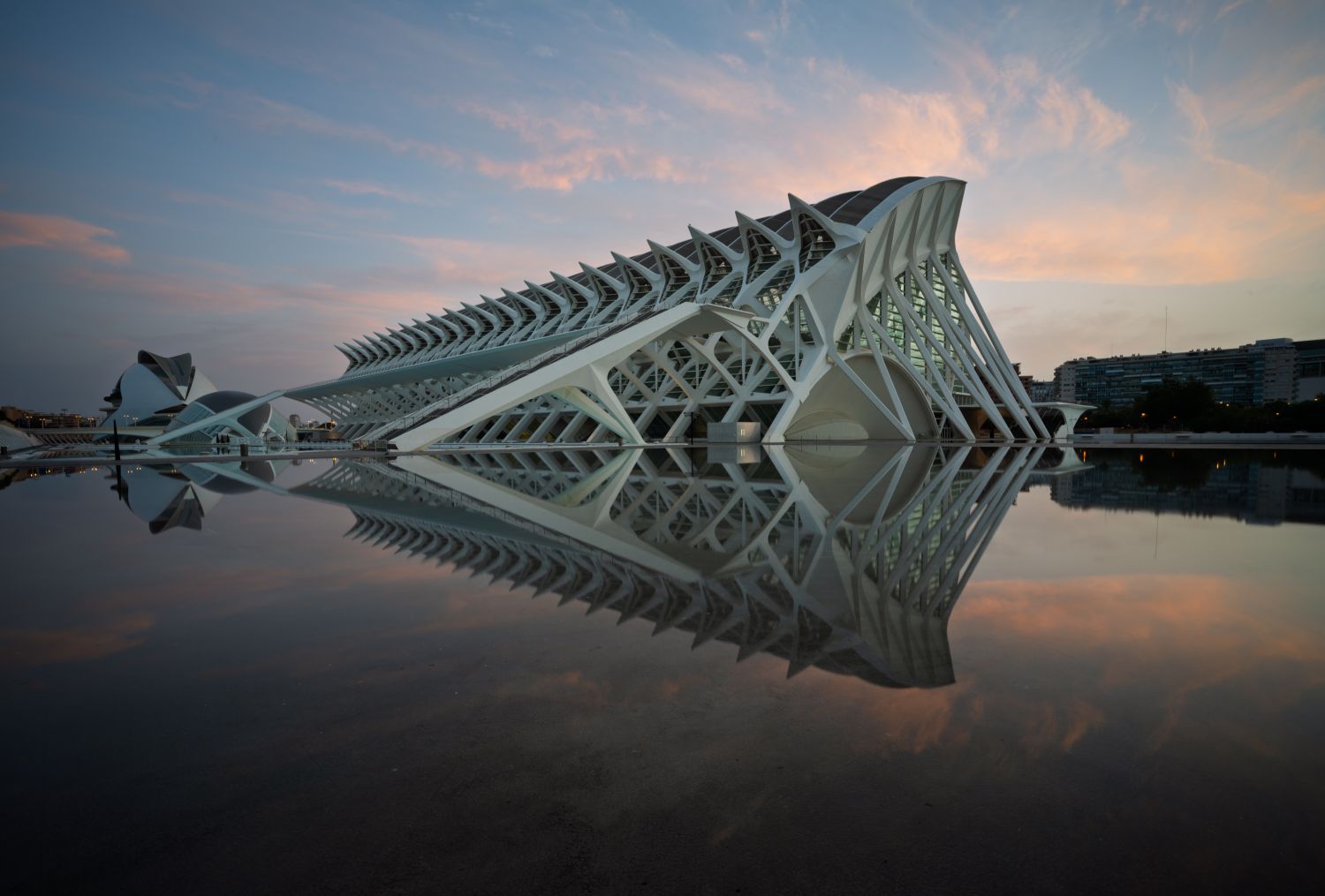 Museu De Les Ciencies 4