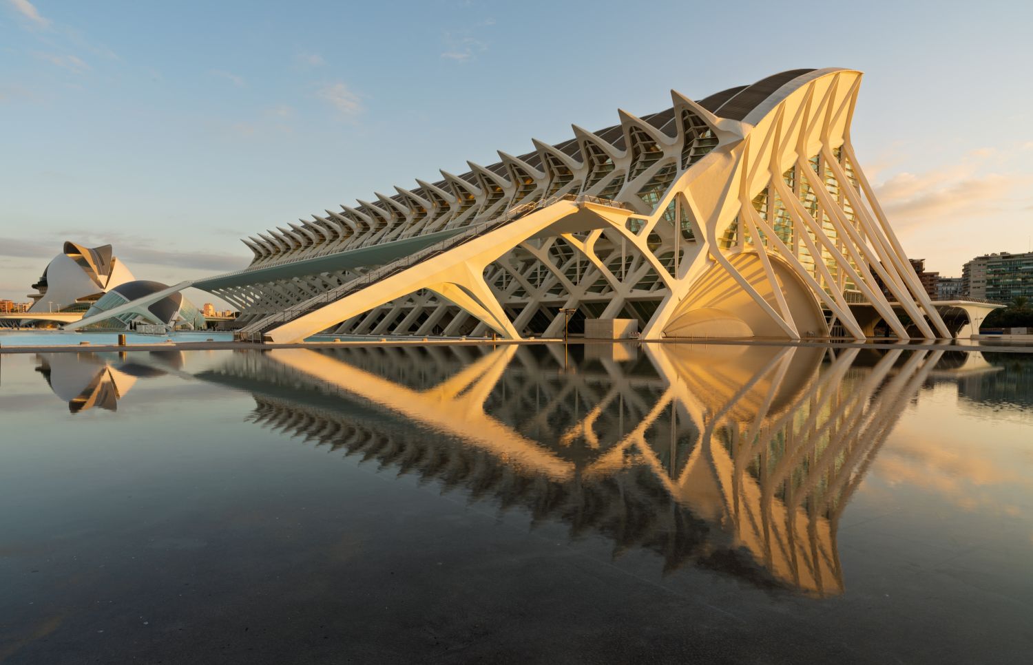 Museu De Les Ciencies 5