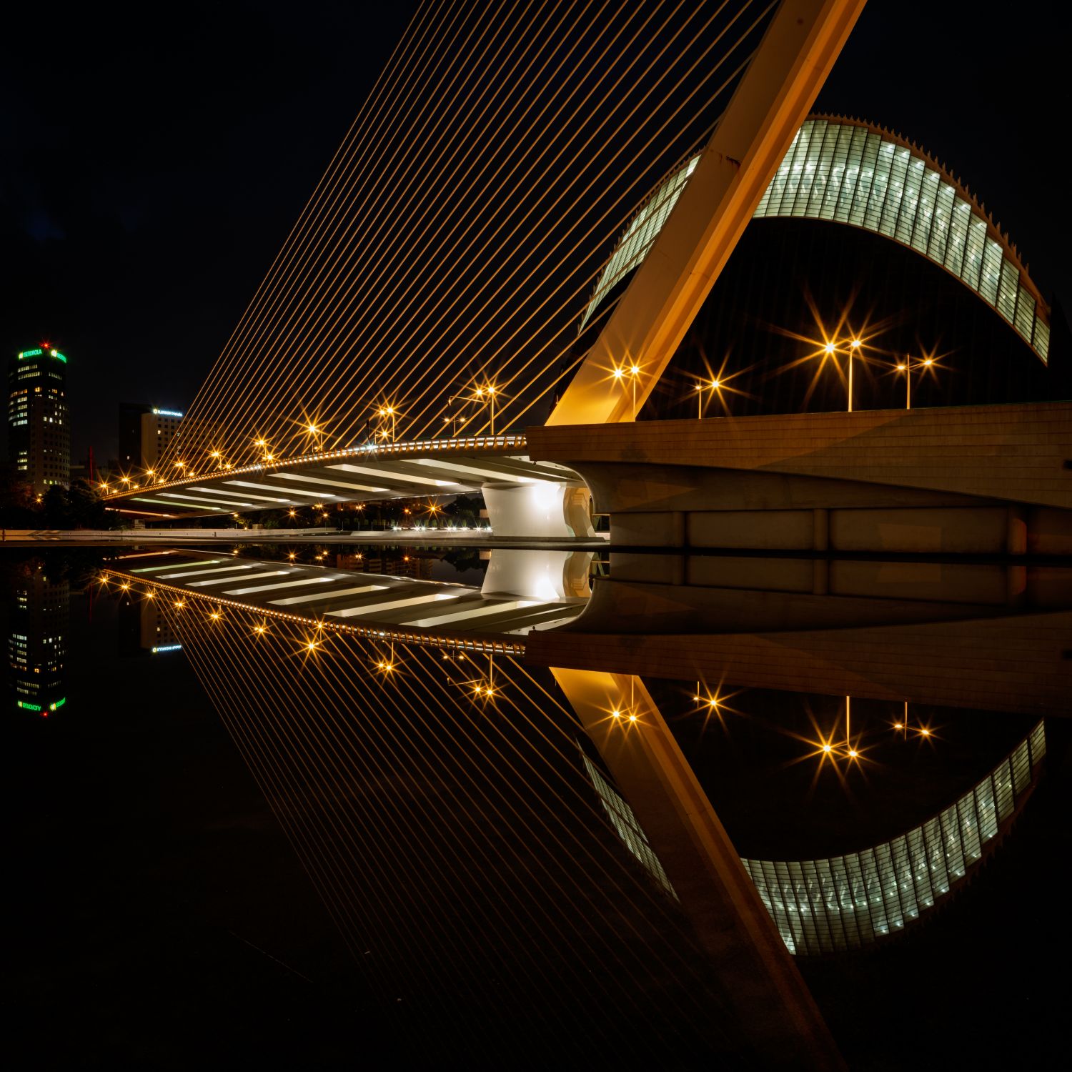 Agora Reflection