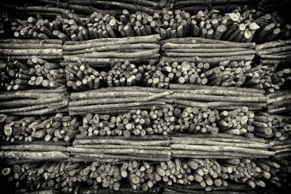 Winter Fuel Winter Fuel