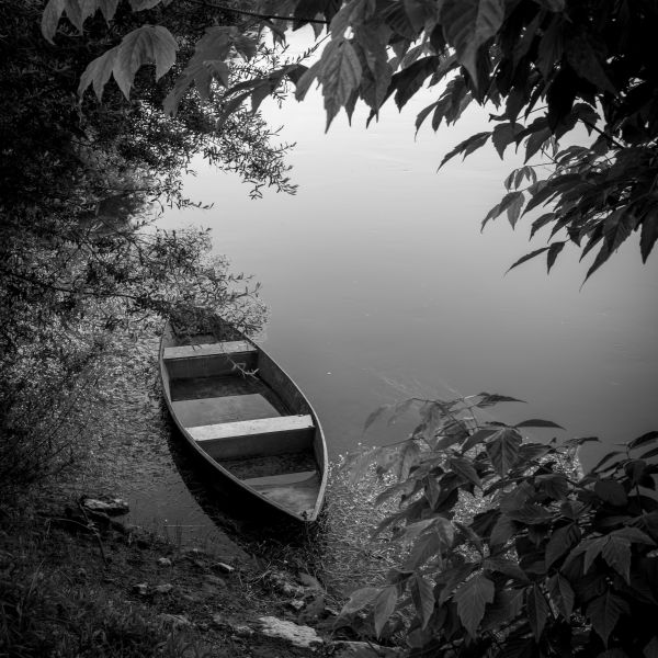 Rowing Boat