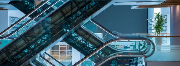 Mohammed Bin Rashid Library 2