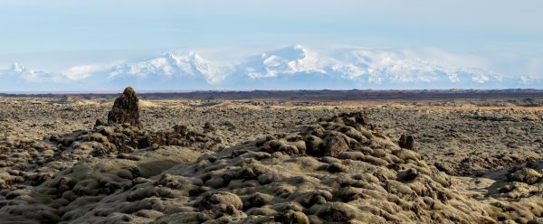 Lava Field Moss & Glacial View