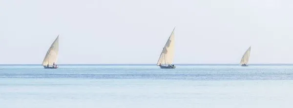 Dhows 