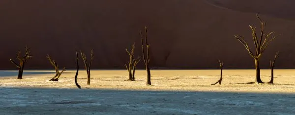 Deadvlei 8