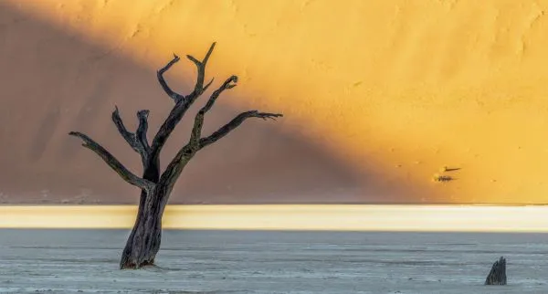 Deadvlei 11