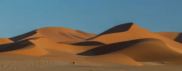 Sossusvlei Dune 13
