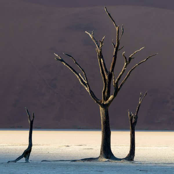 Deadvlei 7