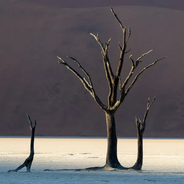 Deadvlei 7