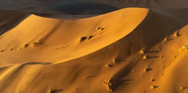 Sossusvlei Dune 16