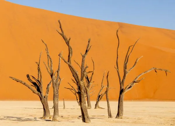 Deadvlei 5