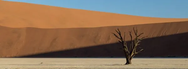 Deadvlei 6