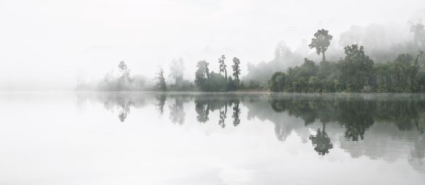 Lake Matahi Mists 1