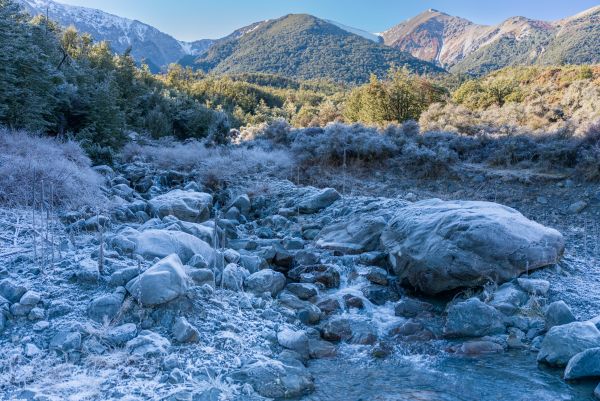 Morning Frost